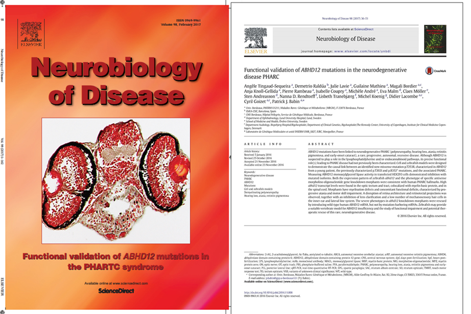 Publication du laboratoire MRGM, partenaire de ZebraCool