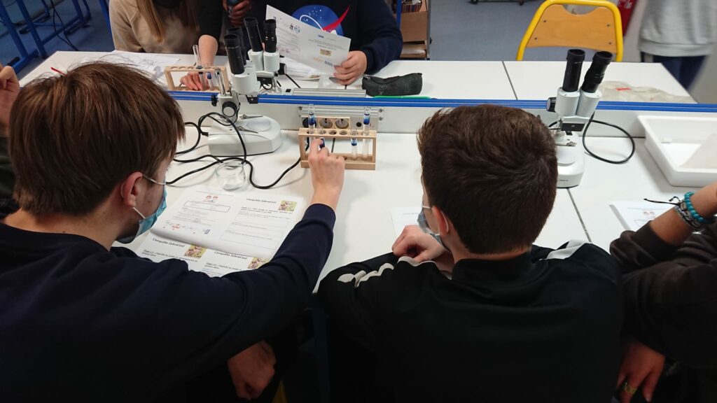 des élèves en train d'analyser le résultat de leur expérience
